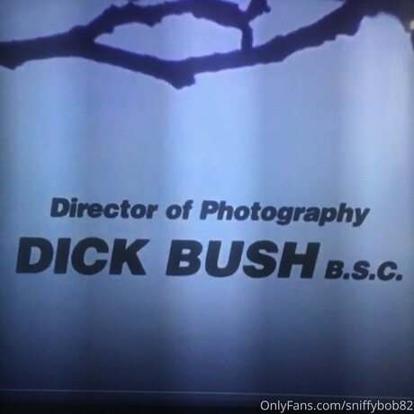 Sniffybob82 pornstar nude pics