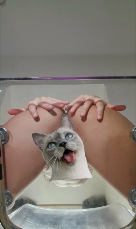 pawg teen onlyfans hot sex archive