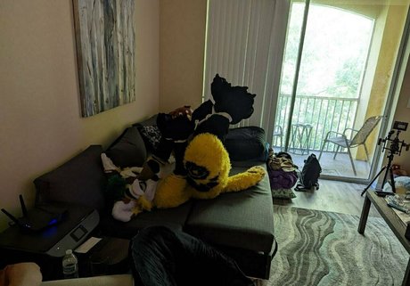 thepineapplefox star free photo