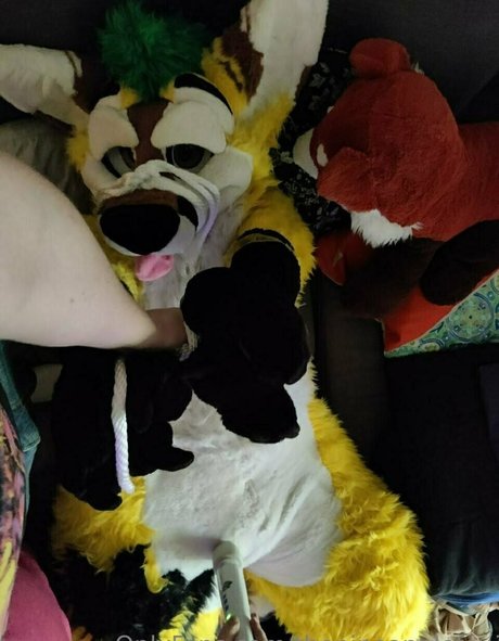 thepineapplefox naked star archive