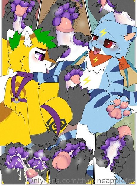 thepineapplefox star nice images