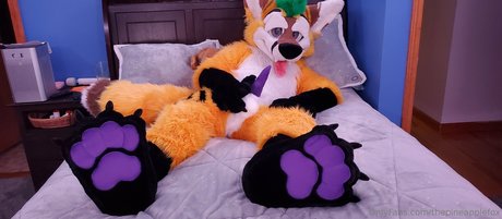 thepineapplefox model porn images