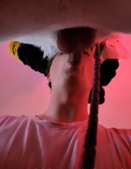 thepineapplefox perfect model img