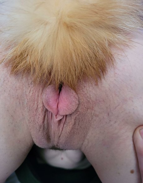 KyoshiPanties pornstar hd photos