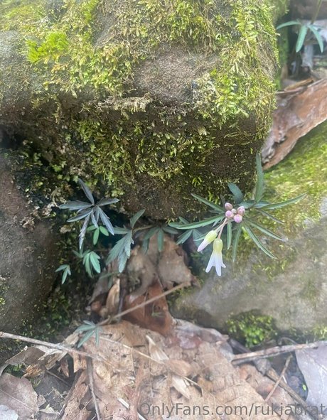 teen tits onlyfans pornos image