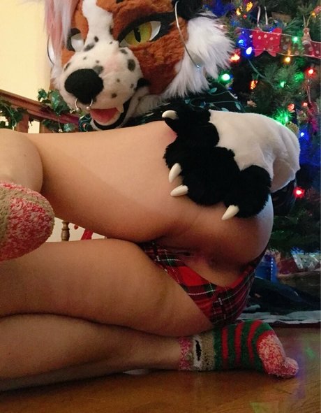 fox anatomy nice model galleries