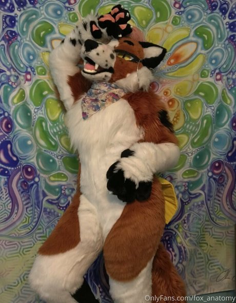 fat mature onlyfans porn archive