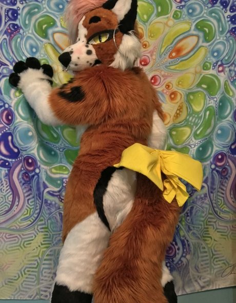 fox anatomy erotic model image