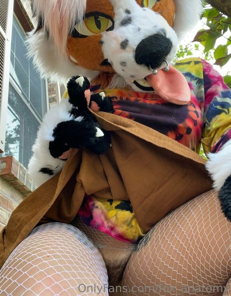 prone onlyfans top photos