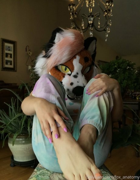 fox anatomy model xxx pics