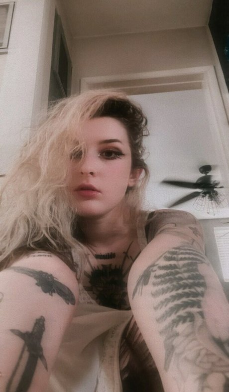 Mothica sexy star img