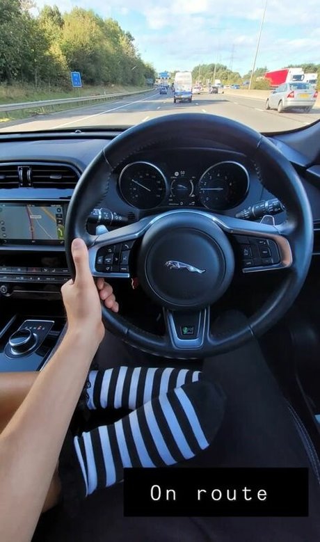 Safsquatch model img