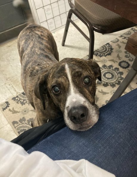 bridgetblack star nudes galleries