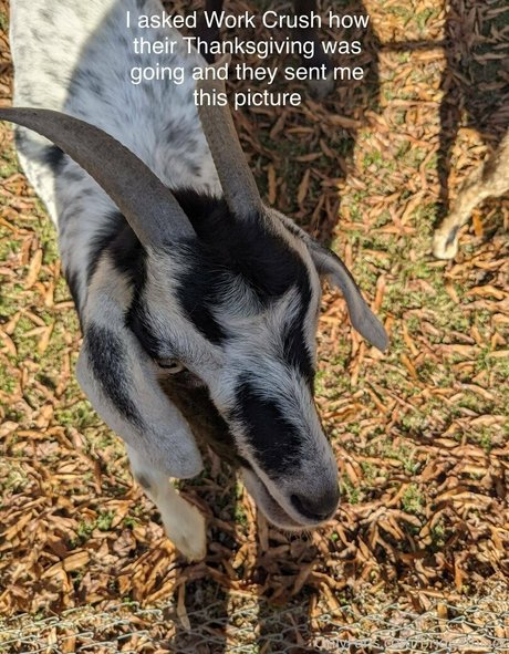 teen trans onlyfans art porn photo