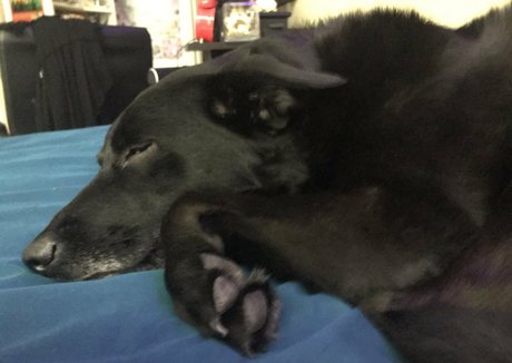 fitness ass onlyfans nude photos