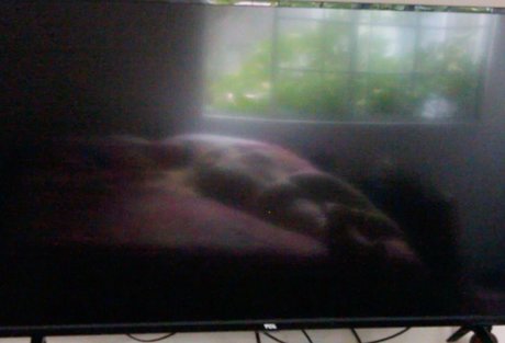 blackbloodridge pornstar image