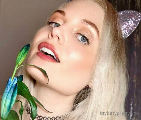 ittybittyprettykittyfree star hd images