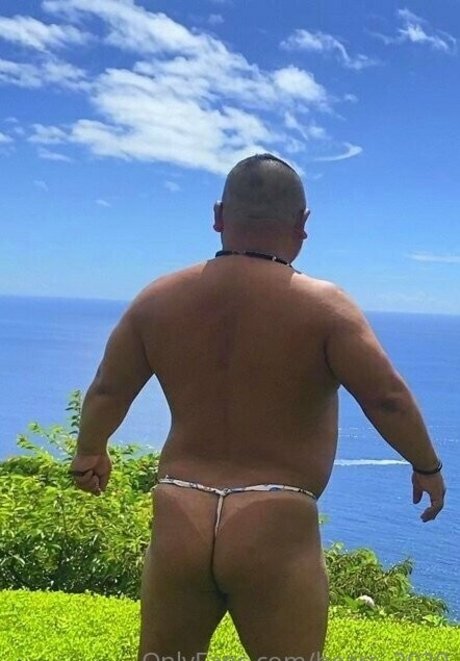 bears 2020 adult star img