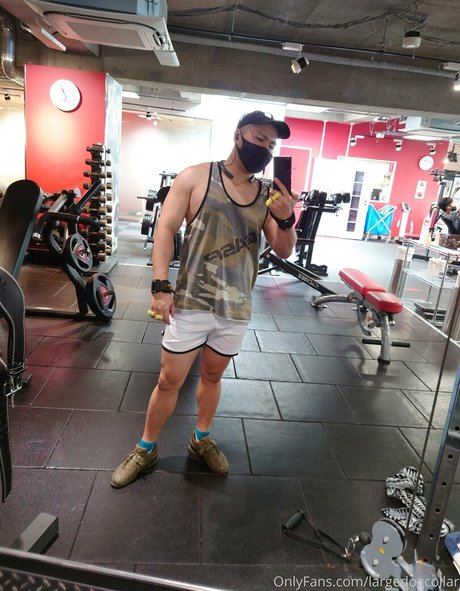 largedogcollar pornographic model picture