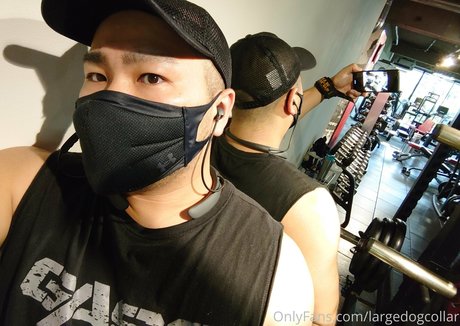 largedogcollar adult actress gallery