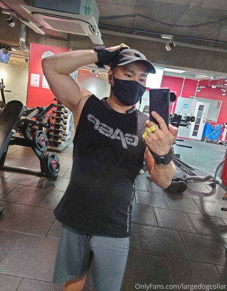 largedogcollar xxx actress img