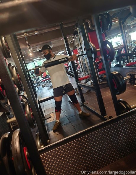 largedogcollar pornstar nice picture