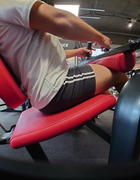 largedogcollar hot star gallery