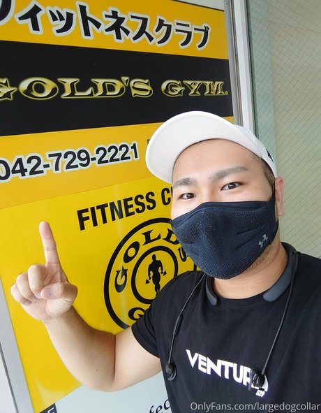 largedogcollar model galleries