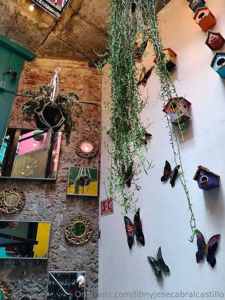 Libnyjesecabralcastillo star sex pics