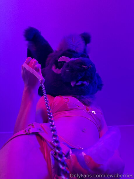 one onlyfans free porn archive