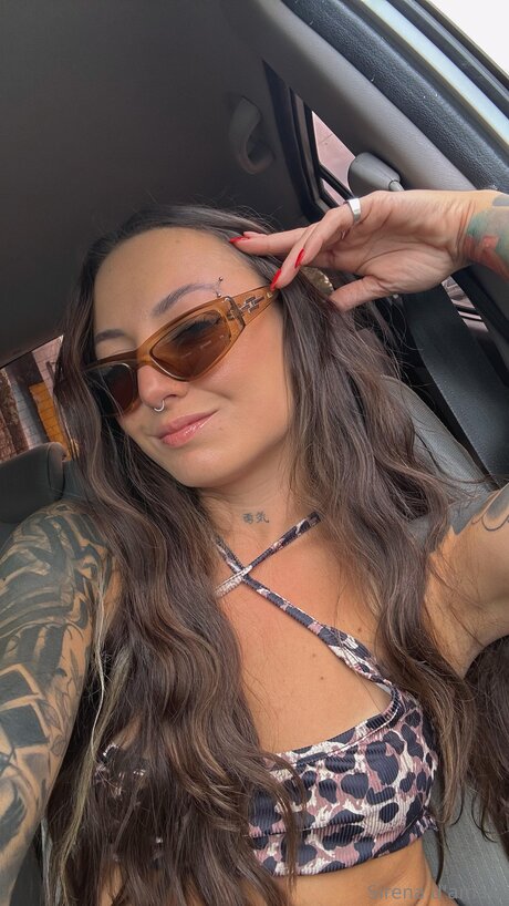 Sirenadamare model free img