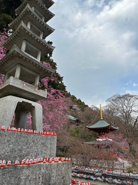 Noxlada exclusive pornstar picture