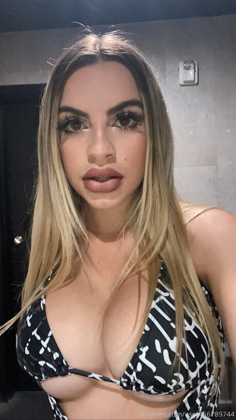 Starkyln model top archive