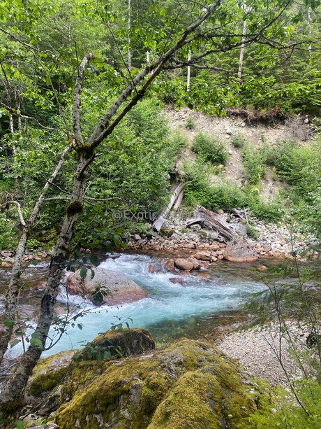 Exotic X Bunny pretty pornstar pic