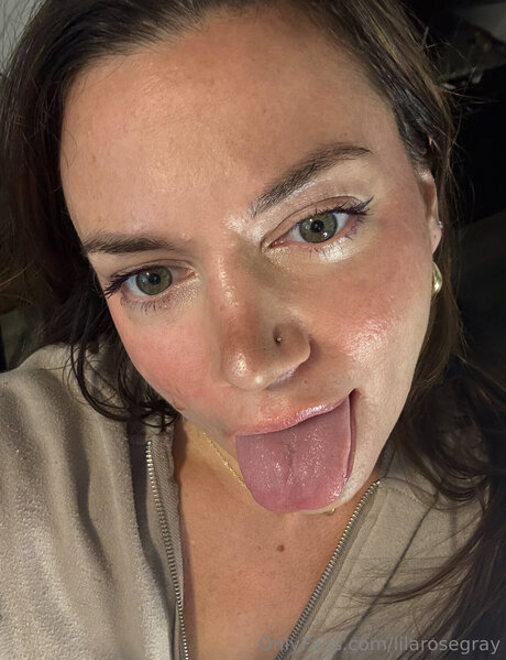 Lilarosegray star art archive