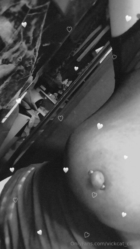 Vickcat Cam pornstar beautiful pic