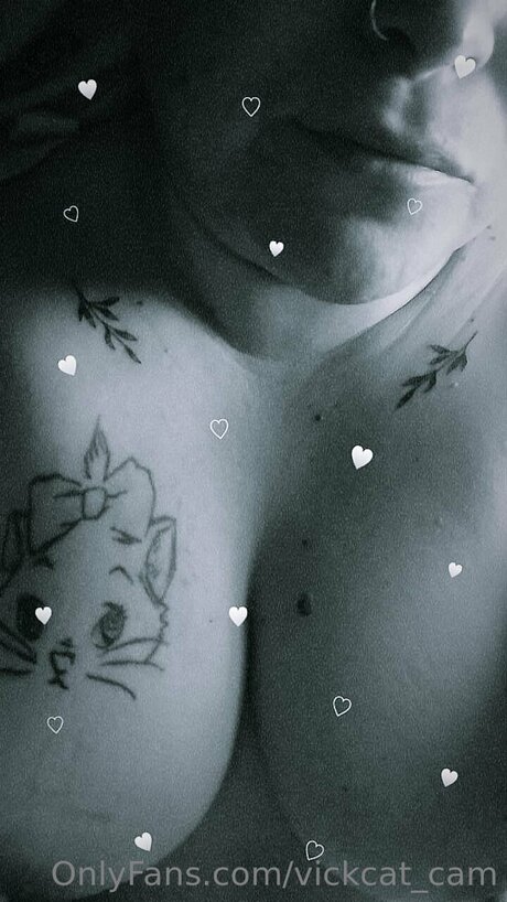 Vickcat Cam beautiful star pics