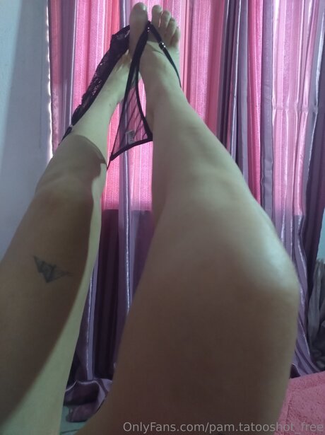 Pam Tatooshot Free adult star photos