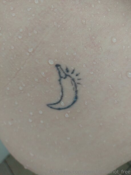 Pam Tatooshot Free high quality actress gallery