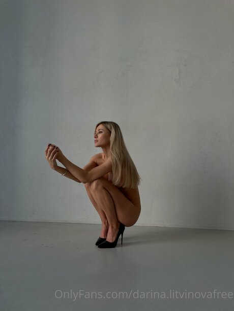 Darina Litvinovafree star nude pics