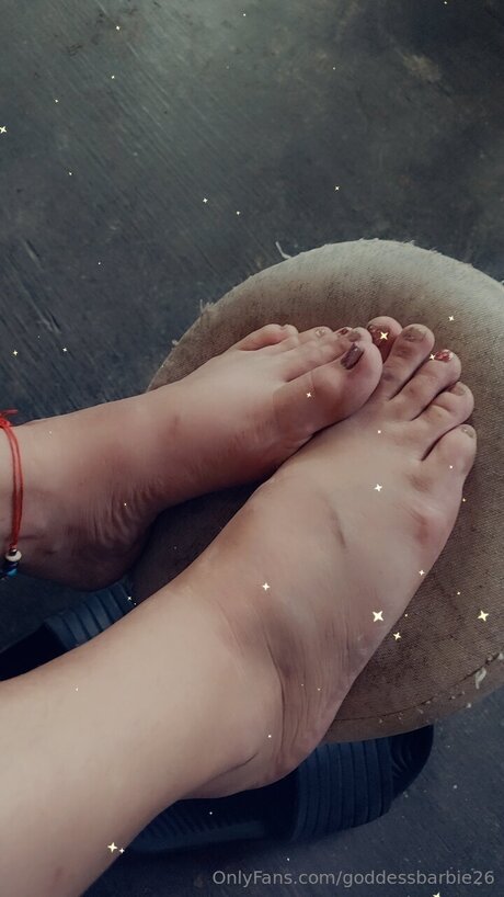 Goddessbarbie26 top star image