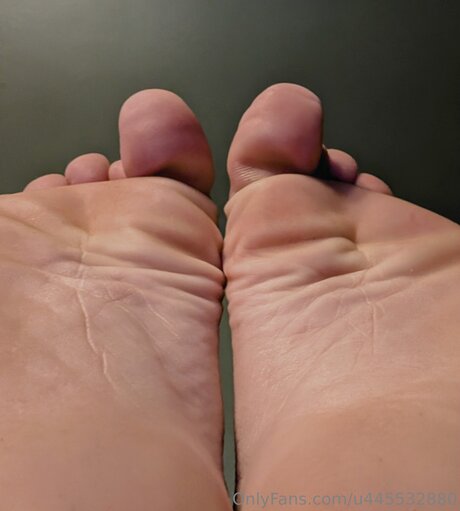 U445532880 star high quality archive