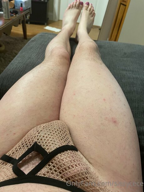 Sissycece pornstar adult gallery