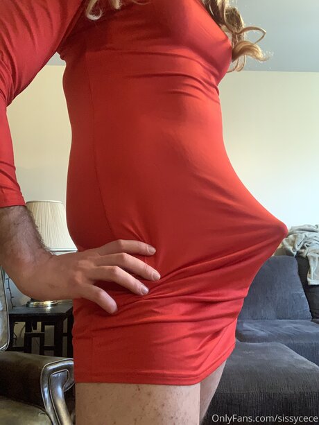 Sissycece beautiful pornstar pics