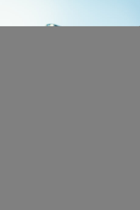 Emreidfree Quick photo