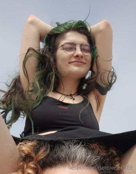 Poilsdesorcier Efree hd model picture