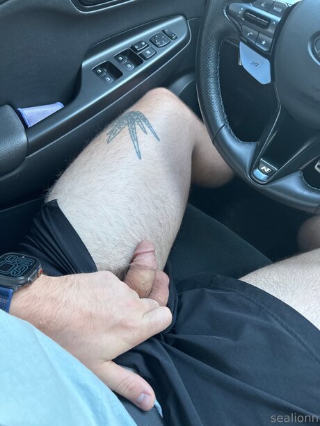 Emsealion Quick photo