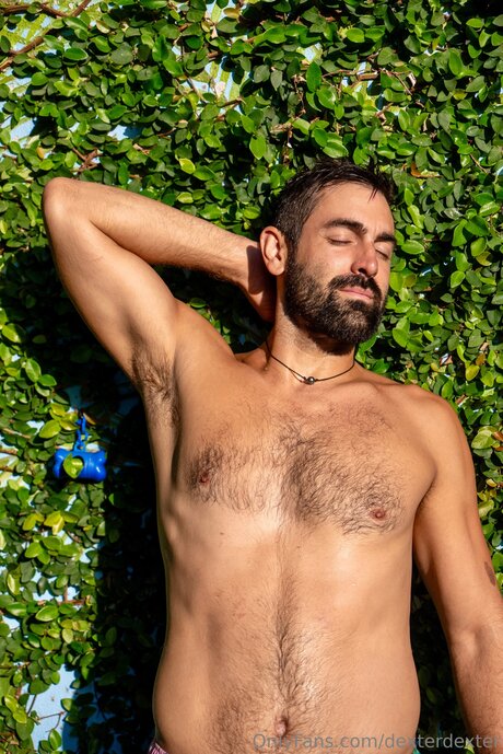 Dexterdexter model hot image