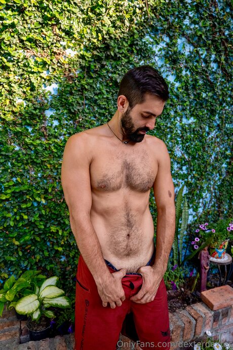 Dexterdexter nude pornstar picture