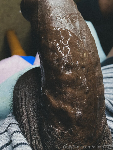 Allnet777 star sexy images